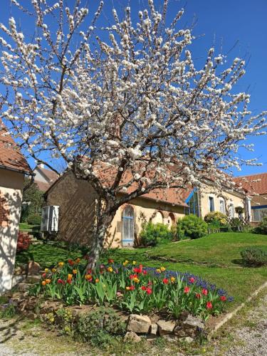 een boom in een tuin met bloemen voor een huis bij Privatisation d'un étage - 2 chambres & 1 salle d'eau - 4 pers in La Chapelle-Saint-Aubin