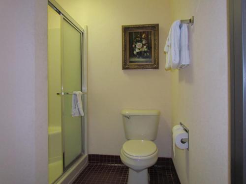 a bathroom with a toilet and a glass shower at Western Inn & Suites Hampton in Hampton