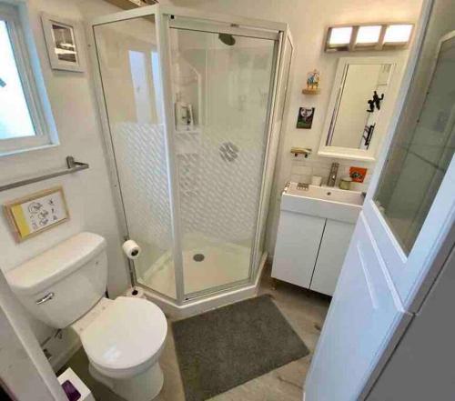 a bathroom with a shower and a toilet and a sink at TINY ART HOUSE near the beat in Sacramento