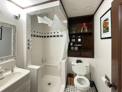a bathroom with a shower and a toilet and a sink at Artist's apartment in the heart of the city in Sacramento