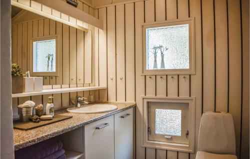 エーベルトフトにあるBeautiful Home In Ebeltoft With 4 Bedrooms, Sauna And Wifiのバスルーム(洗面台、鏡付)