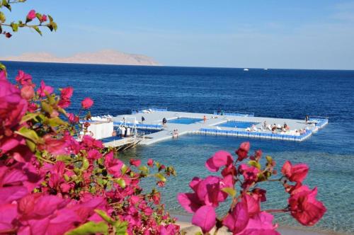 una piscina en medio del océano con gente en ella en GRACE HOUSE DOMINA CORAL BAY, en Sharm El Sheikh