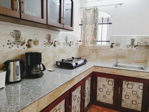 a kitchen with a counter with a coffee maker on it at Roshnee Apartments and Studios in Grand-Baie