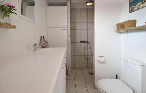 エーベルトフトにあるAwesome Home In Ebeltoft With 3 Bedrooms And Wifiのバスルーム(トイレ、洗面台、シャワー付)