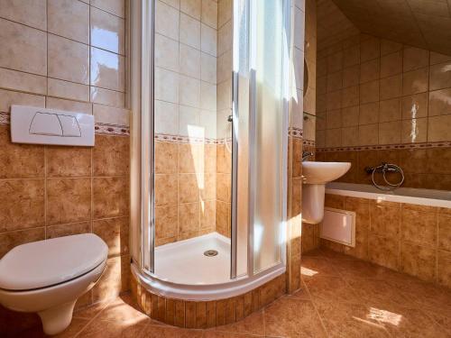a bathroom with a shower and a toilet and a sink at Apartment Harrachov 497-2 by Interhome in Harrachov