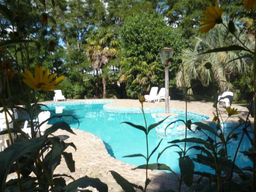 basen z białymi krzesłami i drzewami w obiekcie Hotel Alihuen w mieście Sierra de la Ventana