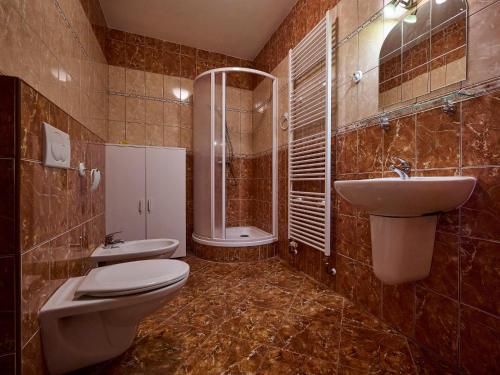 a bathroom with a toilet and a sink and a shower at Apartment Špičák II by Interhome in Albrechtice v Jizerských horách