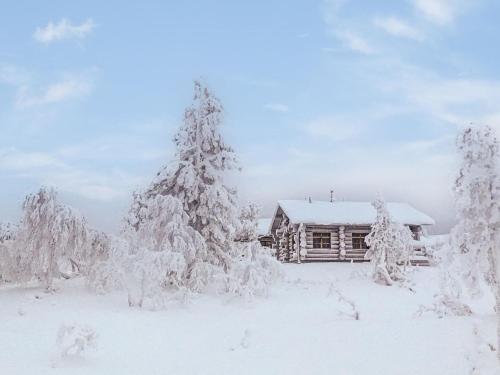 une cabane en rondins dans la neige avec un arbre de Noël dans l'établissement Holiday Home Kanerva 1c by Interhome, à Saariselka