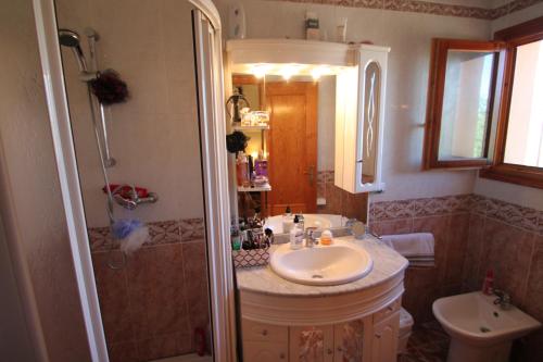 貝尼薩的住宿－Pineda - modern, well-equipped villa with private pool in Costa Blanca，一间带水槽和淋浴的浴室