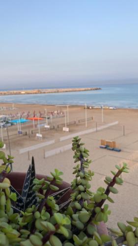 uma vista para uma praia com um monte de bananas em Terrazza sul mare em Scoglitti