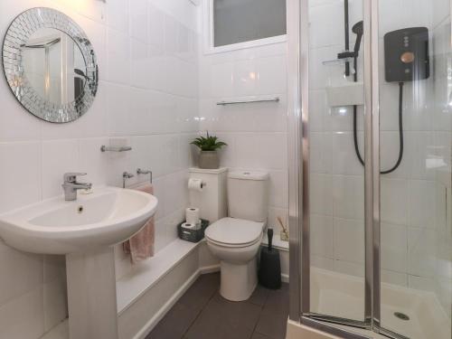 a bathroom with a toilet and a sink and a shower at Y Castell Apartment 1 in Criccieth