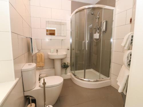 a bathroom with a shower and a toilet and a sink at Y Castell Apartment 2 in Porthmadog
