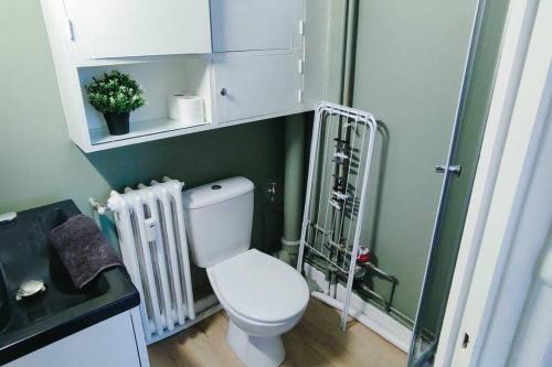 une salle de bain avec des toilettes blanches et une douche dans l'établissement LCS home Au coeur de la ville Balcon-Parking-WIFI, à Clermont-Ferrand