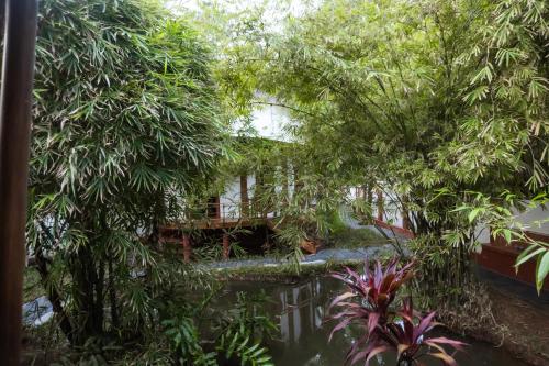 Eden Garden By Cliff Wayにある庭