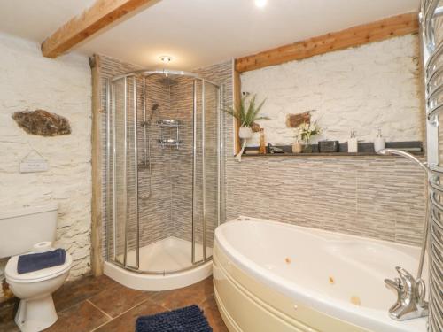 uma casa de banho com um chuveiro, uma banheira e um WC. em The Orchard em Okehampton