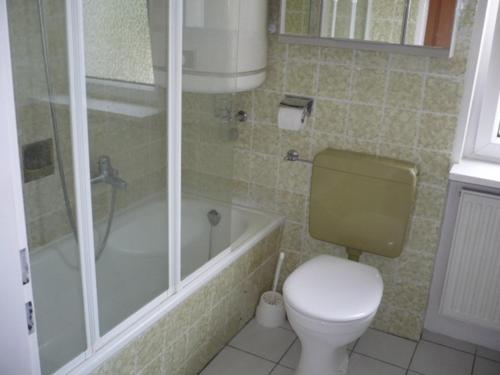 uma casa de banho com um WC, um chuveiro e uma banheira em Fewowellnesspalast em Bad Nauheim