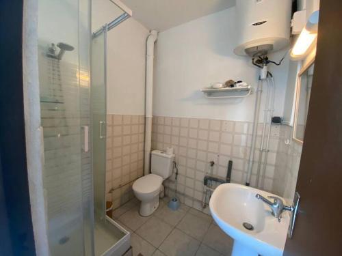 uma casa de banho com um chuveiro, um WC e um lavatório. em Cœur De Ville em Fort-de-France