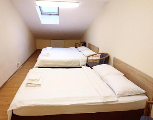2 camas en una habitación pequeña con tragaluz en Perlos Apartamentai 14, en Birštonas