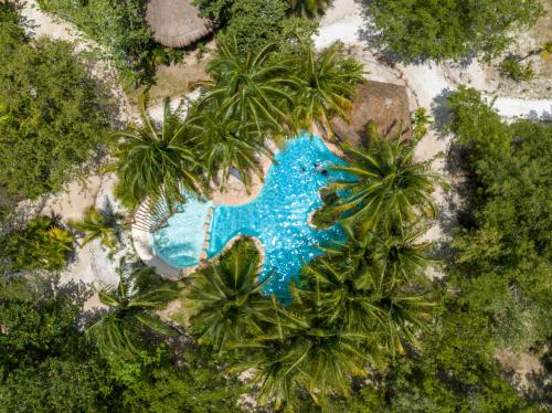 an aerial view of a pool with palm trees at Blue Holbox in Holbox Island