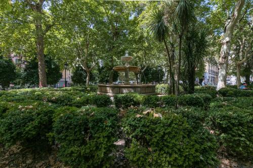 Plaza Trinidad climatizado junto a la catedral