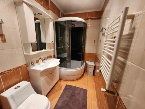 La salle de bains est pourvue de toilettes, d'une douche et d'un lavabo. dans l'établissement New Apartments fresh Design in the Centre, à Chişinău