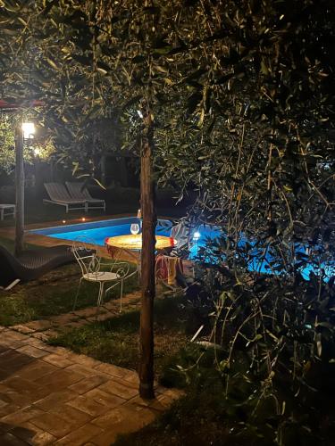 a swimming pool at night with a table and a tree at B&B La Cervaiola in Porano