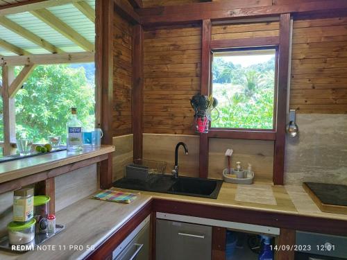eine Küche mit einem Waschbecken und einem Fenster in der Unterkunft La petite sucrerie in Le François