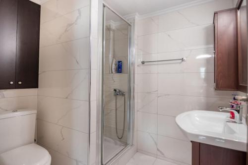 ein Bad mit einer Dusche, einem WC und einem Waschbecken in der Unterkunft Διαμέρισμα με αυλή στη Μέλισσα in Xánthi