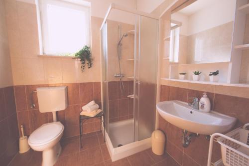 a bathroom with a shower and a toilet and a sink at Apartments Meri in Ližnjan