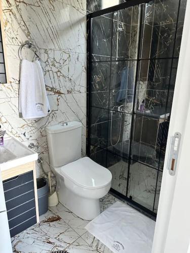a bathroom with a toilet and a walk in shower at Sapanca Felix Suit Bungalow in Sakarya