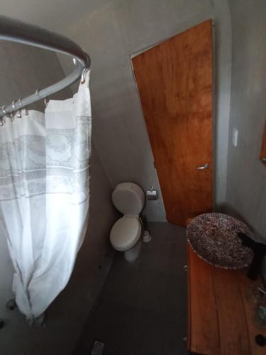 a bathroom with a toilet and a shower curtain at El Pericon y Belgrano in Punta Indio