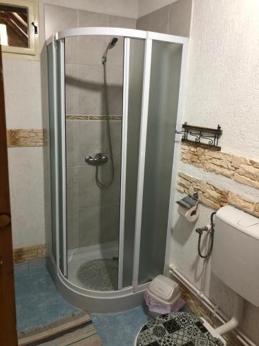 a shower with a glass door in a bathroom at Facilitati cazare Raluca in Viscri