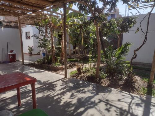 einen Innenhof eines Hauses mit Bäumen und Pflanzen in der Unterkunft Nomads Club in Nazca