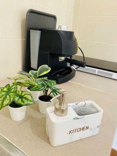 a kitchen with plants on a counter with a kittifier at Valdivia Homes -Príncipe in Santo António
