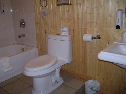 a bathroom with a toilet and a tub and a sink at Hôtel Sous la Croix 152725 in Tadoussac
