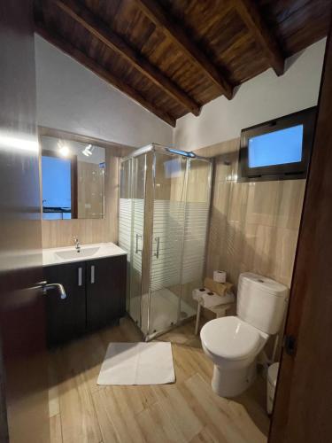 a bathroom with a toilet and a shower and a sink at Finca Santa Catalina in Hermigua
