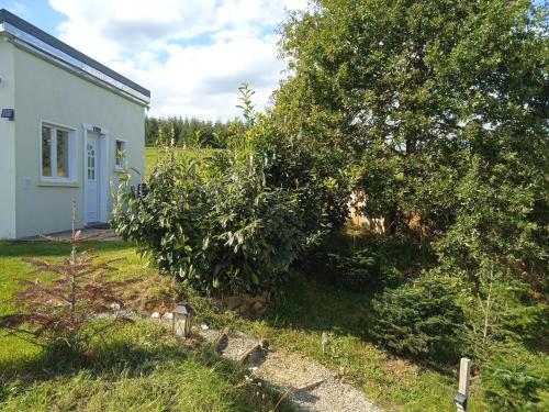 un árbol grande frente a una casa en La petite maison au calme dans les champs, en Matton-et-Clémency