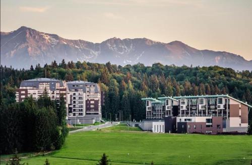 un groupe de bâtiments dans un champ avec des montagnes en arrière-plan dans l'établissement Forest View Silver M B34 Poiana Brasov, à Poiana Brasov