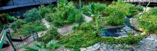 an overhead view of a garden with plants and trees at Family Garden Inn & Suites in Laredo