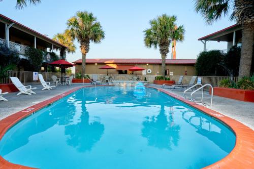 a large blue swimming pool with chairs and palm trees at Family Garden Inn & Suites in Laredo
