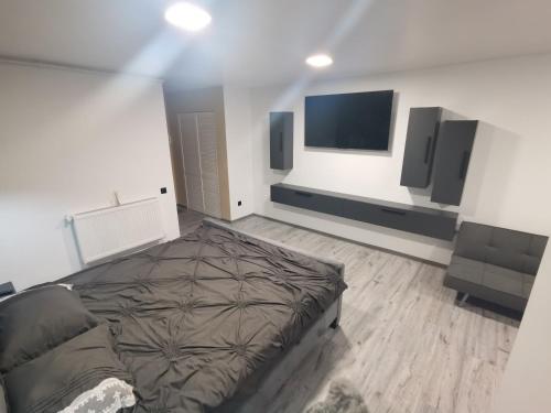 una camera con letto e TV a schermo piatto di Apartament Raissa a Turda