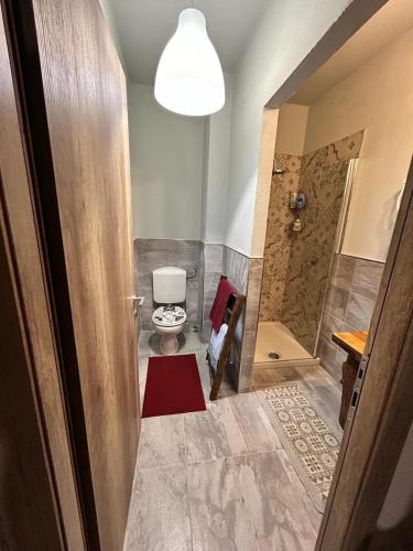 a bathroom with a shower and a toilet in a room at CASA TEU a Rittana in Gaiola