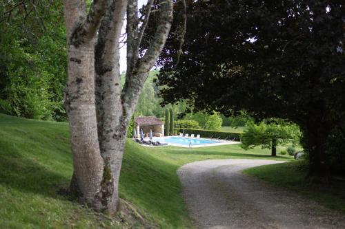 a path leading to a swimming pool in a park at Château Forge du Roy in Mauzens-et-Miremont