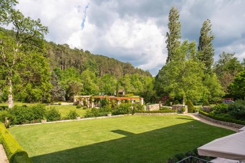 a large lawn with a house in the background at Château Forge du Roy in Mauzens-et-Miremont
