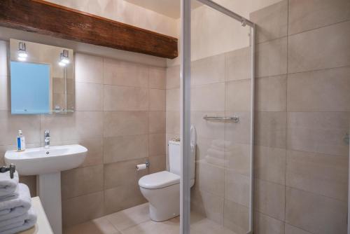 a bathroom with a shower and a toilet and a sink at Château Forge du Roy in Mauzens-et-Miremont