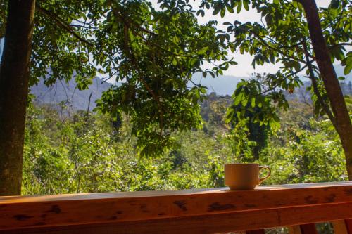 a coffee cup sitting on top of a wooden bench at Don Pascual in Rio de Janeiro