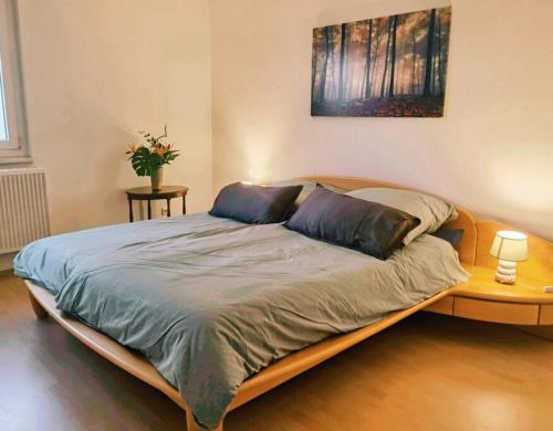 馬林根的住宿－Ferienwohnung Sigmaringen，一间卧室配有一张大床和两个枕头