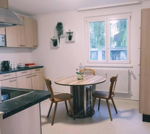 a kitchen with a table and chairs in a kitchen at Ferienwohnung Sigmaringen in Sigmaringen