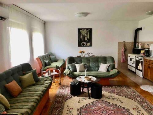 - un salon avec deux canapés et une table dans l'établissement Cozy, peaceful apartment near city center., à Peje