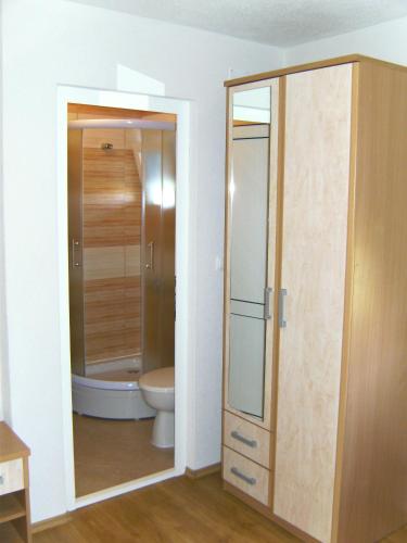 a bathroom with a toilet and a glass shower stall at Pansion Pero Elez Medjugorje in Međugorje
